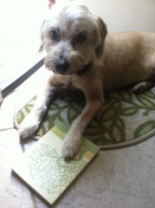 dog with notebook